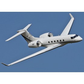 Freewing PJ50 Twin 70mm EDF Business Jet 